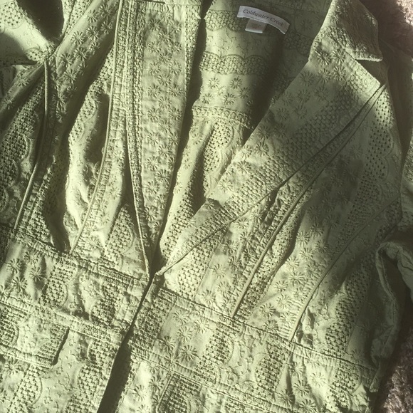 Coldwater Creek Green Cutout Short Sleeve Jacket - Picture 10 of 12
